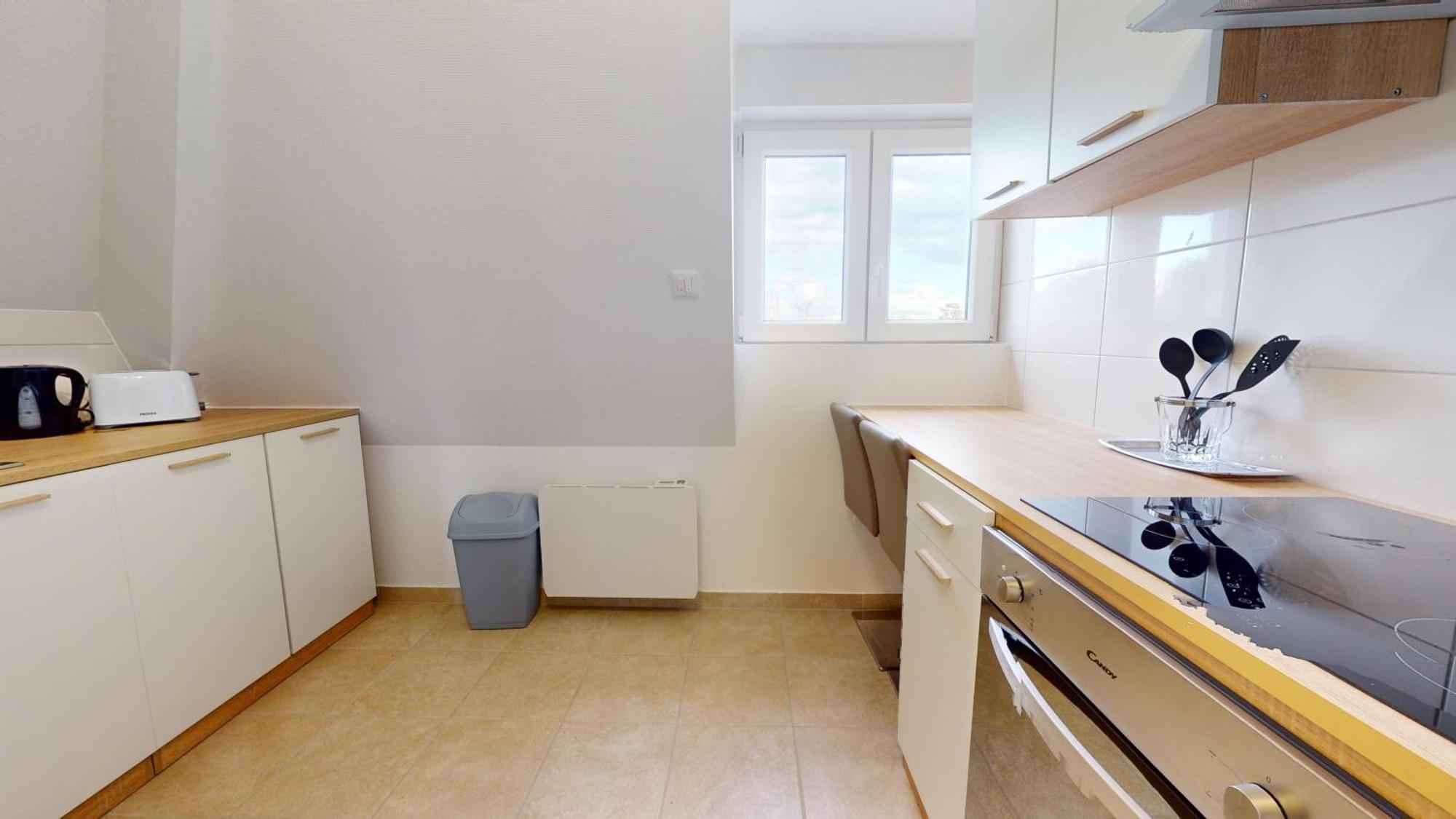 Les Appartements De Georges Avec Parking Colmar Eksteriør billede