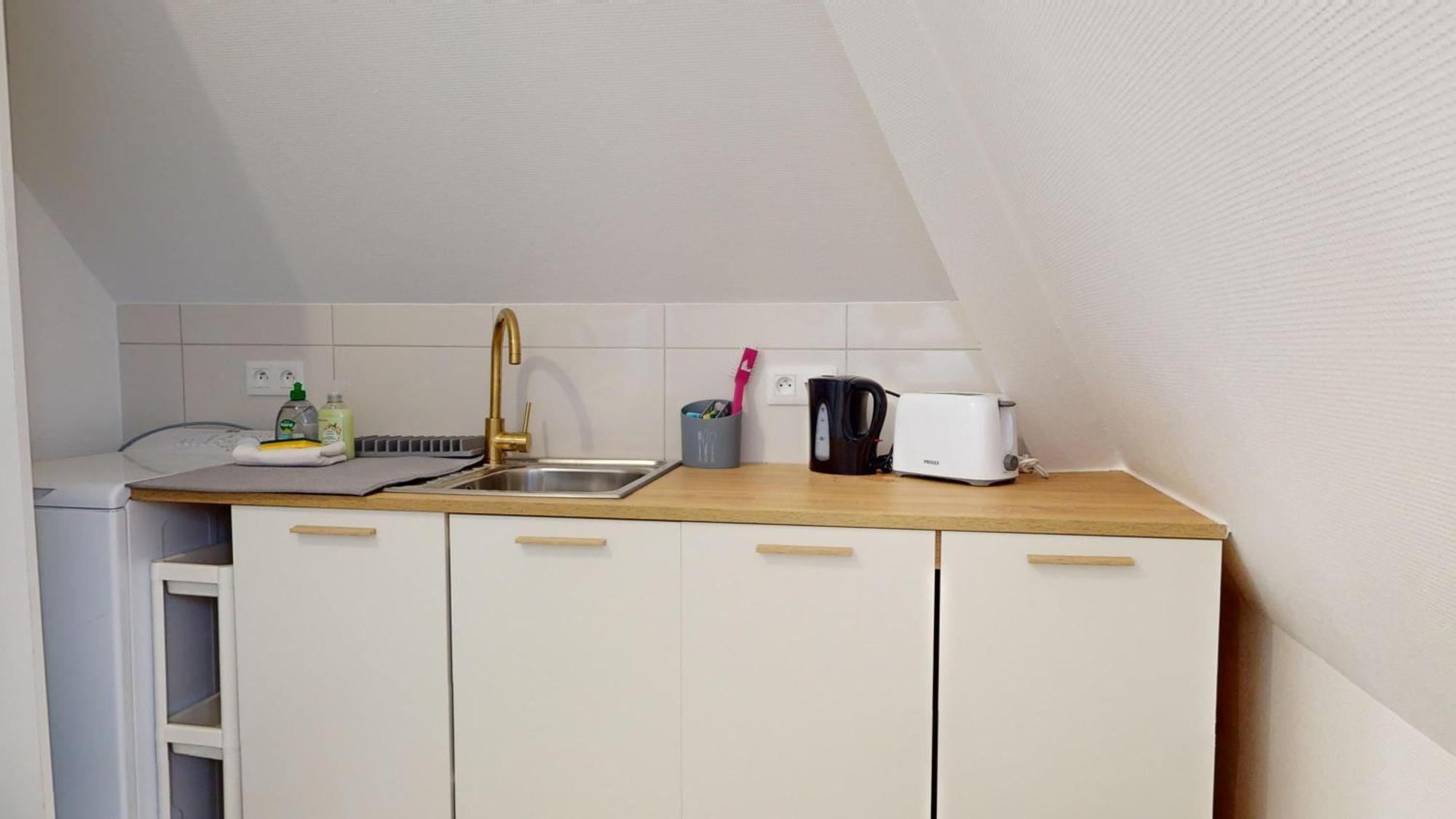 Les Appartements De Georges Avec Parking Colmar Eksteriør billede
